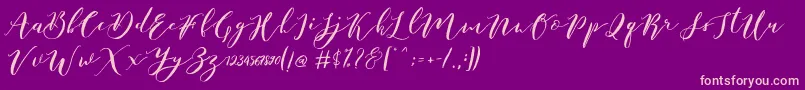 fuente Catandra Brush Script – Fuentes Rosadas Sobre Fondo Morado