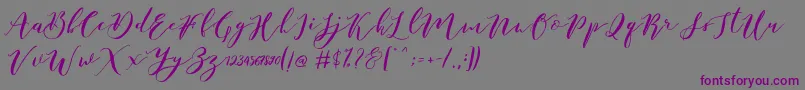 フォントCatandra Brush Script – 紫色のフォント、灰色の背景