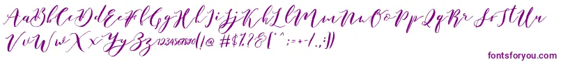 Catandra Brush Script-Schriftart – Violette Schriften