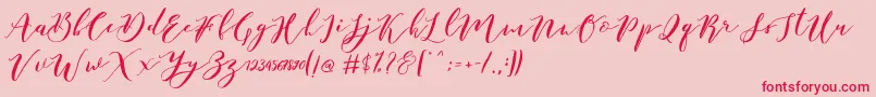 Catandra Brush Script Font – Red Fonts on Pink Background