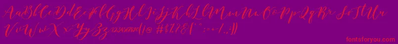 Czcionka Catandra Brush Script – czerwone czcionki na fioletowym tle