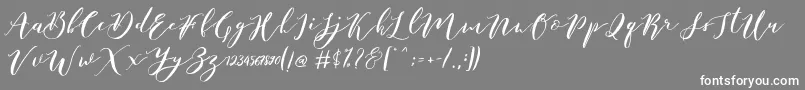 Catandra Brush Script-fontti – valkoiset fontit harmaalla taustalla