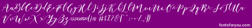 Catandra Brush Script-fontti – valkoiset fontit violetilla taustalla