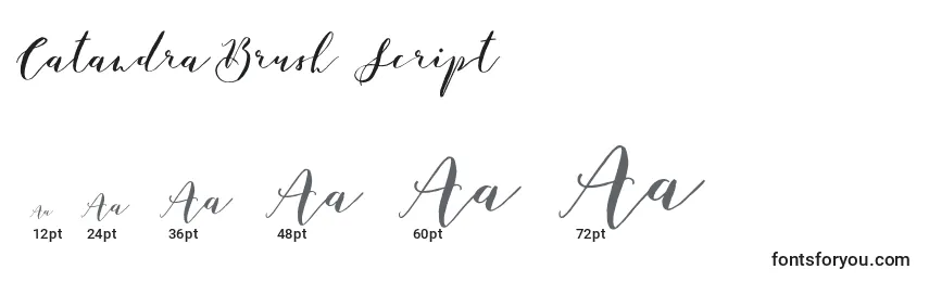 Catandra Brush Script Font Sizes