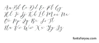 Czcionka Catandra Brush Script