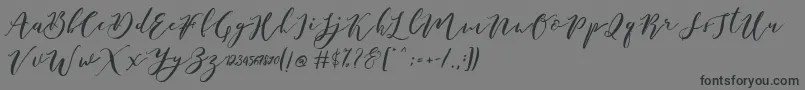 フォントCatandra Brush Script – 黒い文字の灰色の背景