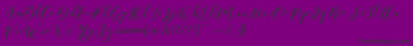 Catandra Brush Script-Schriftart – Schwarze Schriften auf violettem Hintergrund