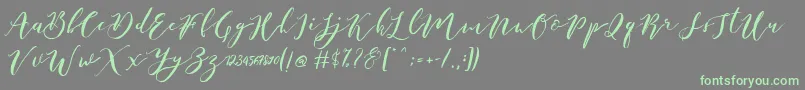 Catandra Brush Script Font – Green Fonts on Gray Background