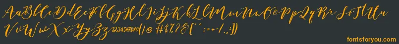 Catandra Brush Script Font – Orange Fonts on Black Background