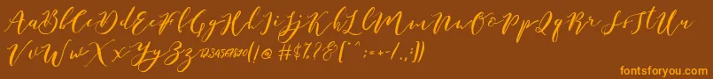 Catandra Brush Script Font – Orange Fonts on Brown Background
