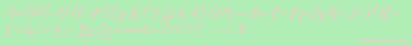 Catandra Brush Script-Schriftart – Rosa Schriften auf grünem Hintergrund