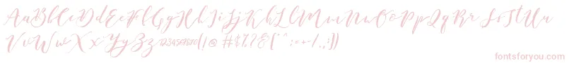 Police Catandra Brush Script – polices roses sur fond blanc