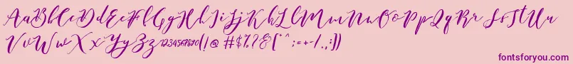 Catandra Brush Script-fontti – violetit fontit vaaleanpunaisella taustalla