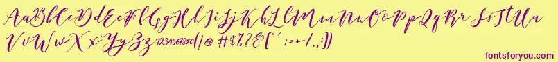 Catandra Brush Script Font – Purple Fonts on Yellow Background