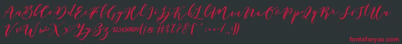 fuente Catandra Brush Script – Fuentes Rojas Sobre Fondo Negro