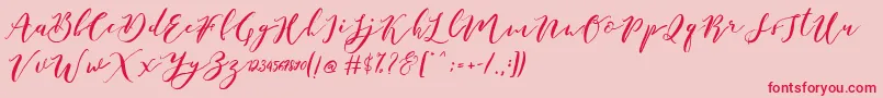 Catandra Brush Script-Schriftart – Rote Schriften auf rosa Hintergrund