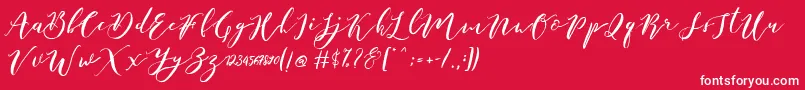 Catandra Brush Script-Schriftart – Weiße Schriften auf rotem Hintergrund