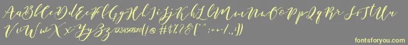 Catandra Brush Script Font – Yellow Fonts on Gray Background