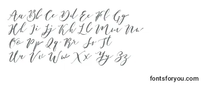 Czcionka Catandra Brush Script