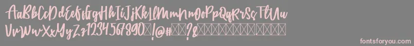 CatarinaFree Font – Pink Fonts on Gray Background