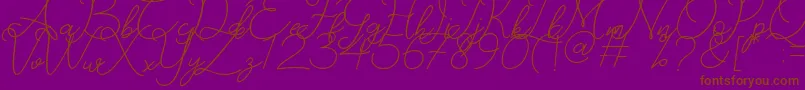 Catherine Font – Brown Fonts on Purple Background