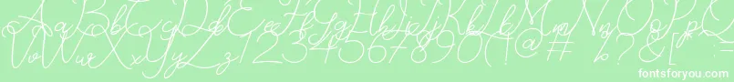 Catherine Font – White Fonts on Green Background