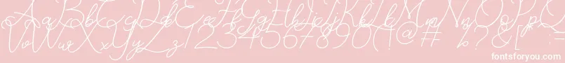 Catherine Font – White Fonts on Pink Background