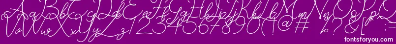 Catherine Font – White Fonts on Purple Background