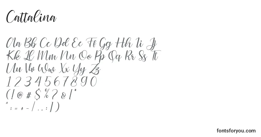 Шрифт Cattalina – алфавит, цифры, специальные символы