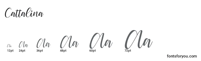 Cattalina Font Sizes