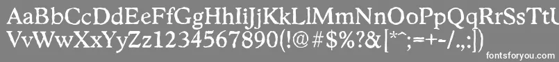 StratfordantiqueRegular Font – White Fonts on Gray Background
