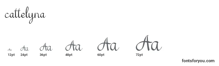 Cattelyna Font Sizes