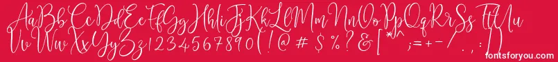 Cattieshine Font – White Fonts on Red Background