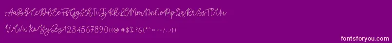 Cattomscute-Schriftart – Rosa Schriften auf violettem Hintergrund