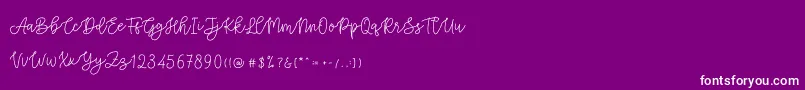 Шрифт Cattomscute – белые шрифты на фиолетовом фоне