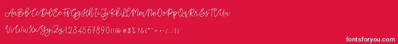 Cattomscute Font – White Fonts on Red Background