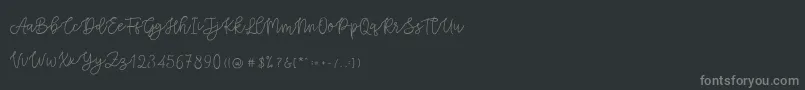 フォントCattomscute – 黒い背景に灰色の文字