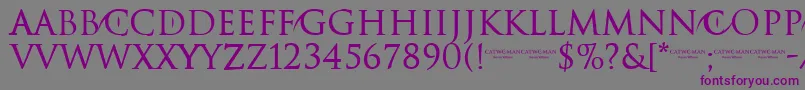Шрифт CATWOMAN – фиолетовые шрифты на сером фоне