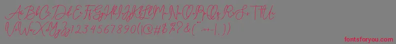 Celesta diaz Font – Red Fonts on Gray Background