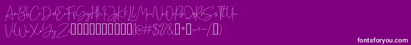 Cellina Font – White Fonts on Purple Background
