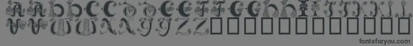 フォントCeltic Knot – 黒い文字の灰色の背景