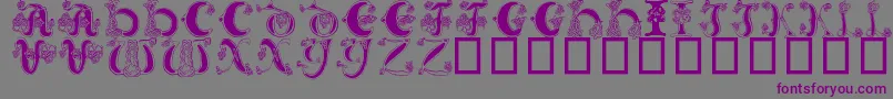 Celtic Knot-Schriftart – Violette Schriften auf grauem Hintergrund
