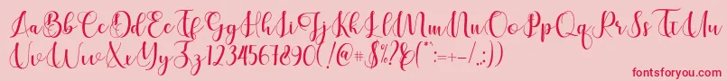 Cerilleta Font – Red Fonts on Pink Background