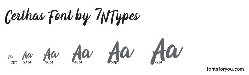 Размеры шрифта Certhas Font by 7NTypes