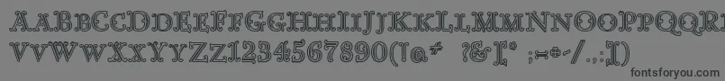 Lisätietoja GoudyDecorInitialc-fontista GoudyDecorInitialc-fontti – mustat fontit harmaalla taustalla