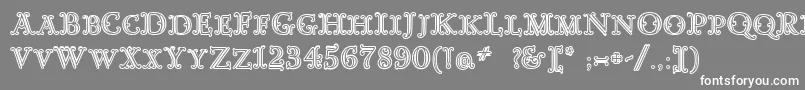 GoudyDecorInitialc Font – White Fonts on Gray Background