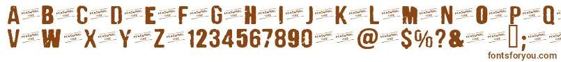 CFPunkFashionPERSONAL Regul Font – Brown Fonts on White Background