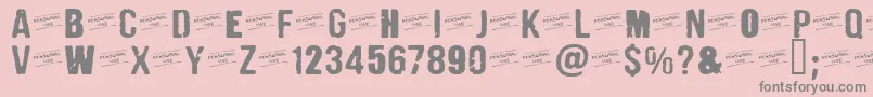 CFPunkFashionPERSONAL Regul Font – Gray Fonts on Pink Background