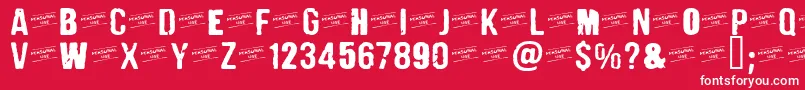 フォントCFPunkFashionPERSONAL Regul – 赤い背景に白い文字