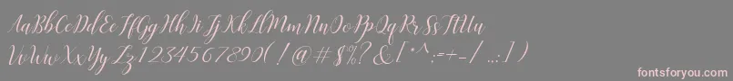 Challista Font – Pink Fonts on Gray Background